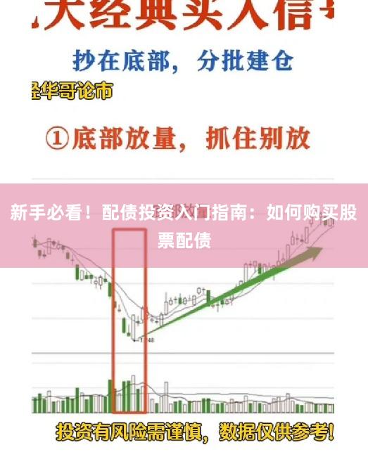 新手必看！配债投资入门指南：如何购买股票配债