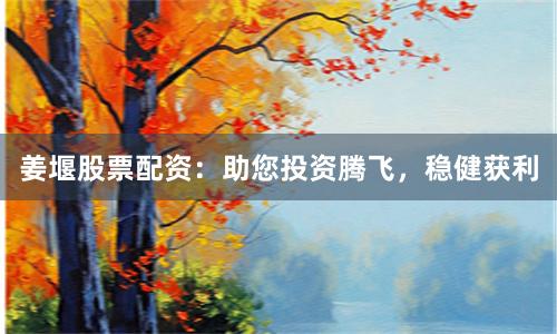 姜堰股票配资：助您投资腾飞，稳健获利