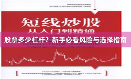 股票多少杠杆？新手必看风险与选择指南